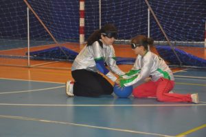 &Ouml;ğrencilere " go ball" oyununu tanıtıldı