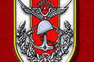 Bir PKK'lı daha teslim oldu