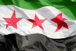 Federal y&ouml;netim istemek işleri karıştırır