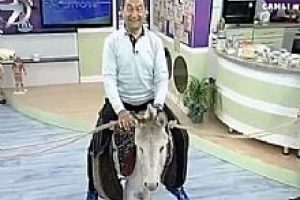 Programına eşekle &ccedil;ıktı