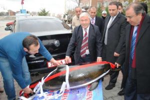 Kaymakamın aracından &ouml;yle bir şey &ccedil;ıktı ki !