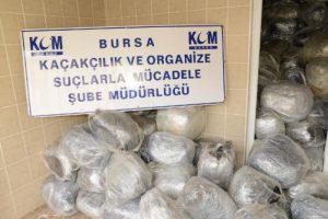 1.5 ton esrarla yakalanan iki kişi tutuklandı