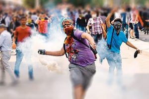 Siber su&ccedil;lar 'Gezi'de tavan yaptı