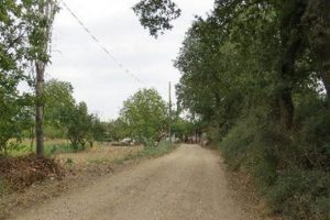 Dere&ccedil;avuş Mahallesi'nde meyve bah&ccedil;elerinde fuhuş! &Ouml;ZEL HABER