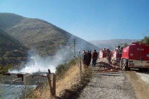"Mal canın yongasıdır" deyince...