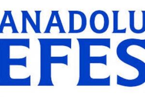 Anadolu Efes yenildi