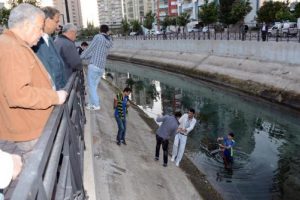 Sulama kanalında zıpkınlı balık avı