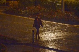 Her yerde kar, Adana'da yağmur