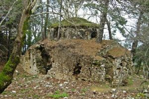 Antik Kurşunlu Manastırı kurtarılmayı bekliyor