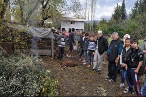 Başıboş k&ouml;pek dehşeti