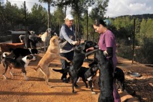 Sokak k&ouml;peklerine 5 yıldızlı bakımevi