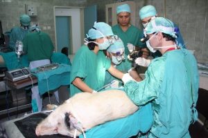 Estetik cerrahisinde yeni umut