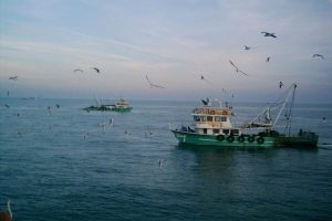 Batı Karadeniz'de balık&ccedil;ıların a&ccedil;ılmasına izin yok