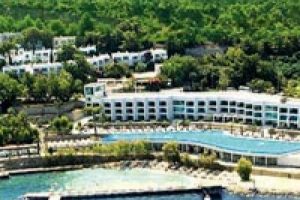 Bodrum'a ilk balyoz yarın