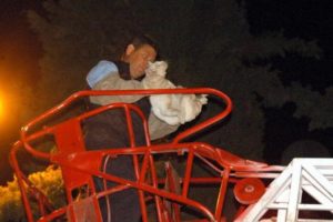 Kedi kurtarma operasyonu