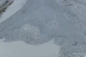 Dağ ke&ccedil;ilerinin &ccedil;ığ dalgasıyla m&uuml;cadelesi