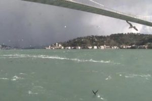 Boğaz'da kış ve martılar