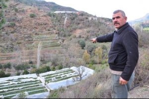 Fırtına seraları vurdu