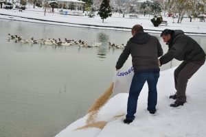 Karacabey'de hayvanlar i&ccedil;in yem bırakıldı