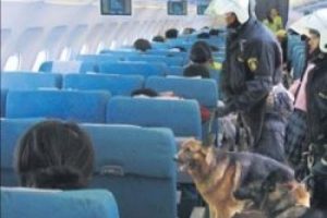 Norve&ccedil;'ten T&uuml;rk yolculara k&ouml;pekli arama
