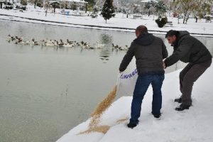 Yaban hayvanları unutulmadı