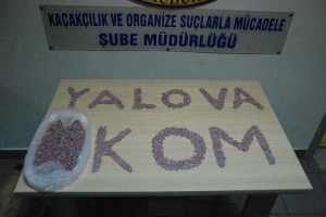 Zehir taciri otob&uuml;ste yakalandı
