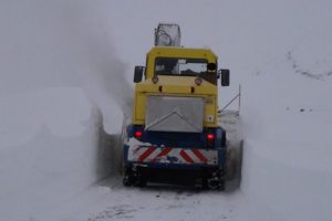 Bitlis adeta kara g&ouml;m&uuml;ld&uuml;