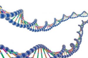 İkinci DNA kodu bulundu