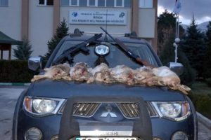 Tavşan avına b&uuml;y&uuml;k ceza