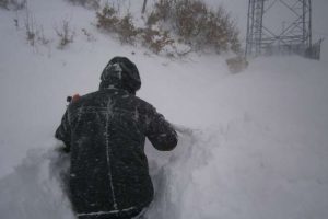 O cesetlerine ulaşıldı
