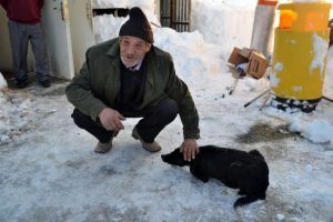 Hayatını k&ouml;peğine bor&ccedil;lu