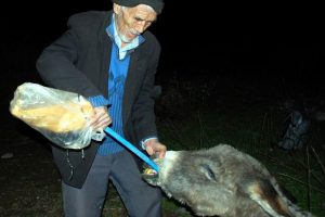 Yaralı eşeği &ccedil;orbayla besliyor