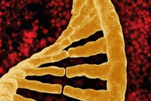 DNA kansere yol a&ccedil;ıyor