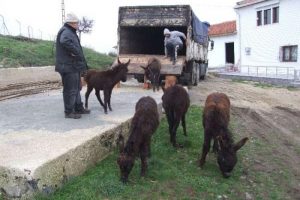 Onların artık bir ismi var