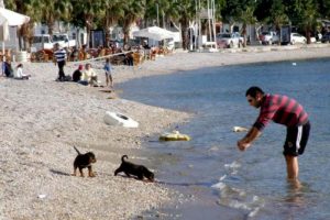 Bodrum'da bahar havası