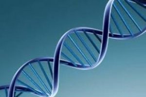 DNA'nın kayıp yarısı bulundu