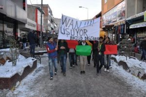 BDP'lilerden 'Van' i&ccedil;in &uuml;st&uuml; &ccedil;ıplak eylem