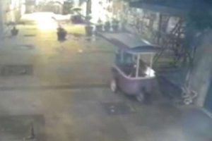 &Ccedil;alınan kestane aracına "Sarai Sierra" y&ouml;ntemi