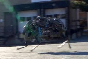 Google'ın merakla beklenen robotu
