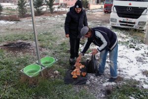 Yenişehir zabıtası sokak hayvanlarını unutmadı