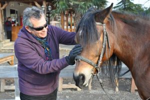 Salih G&uuml;ney Bursada Haflinger &Ccedil;ifliğinde stres attı...