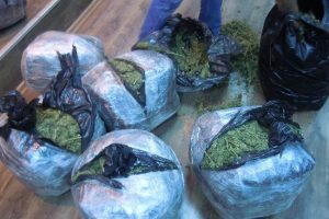63.5 kilogram esrar ele ge&ccedil;irildi