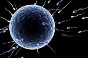 'Tedaviden &ouml;nce sperm dondurun'
