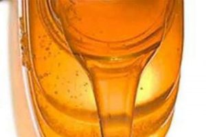 Karaciğer d&uuml;şmanı: Mısır şurubu