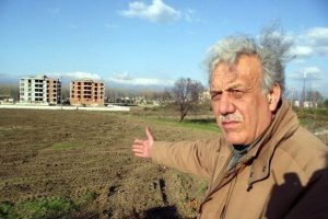Mandalina ağa&ccedil;larını &ccedil;aldılar