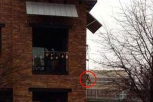 Tuvaleti gelen k&ouml;peğe g&ouml;r&uuml;lmemiş vahşet!