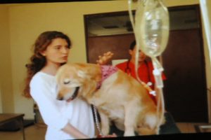 K&ouml;pek g&ouml;z&uuml;nden hastanenin tanıtım filmini &ccedil;ektiler