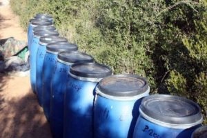 120 kilo esrar ele ge&ccedil;irildi