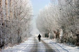 Bolu'da ağa&ccedil;lar buz tuttu