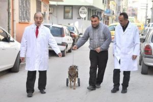 &Ccedil;akala y&uuml;r&uuml;te&ccedil; takıldı